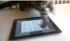 【７秒動画】ネコ VS iPad！iPad上を動くネズミと戦う子猫！勝敗の行方は！？