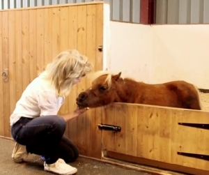 まるでマキバオー！？イギリスで一番小さな馬が本当に小さかった！