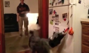 いつでも冷たいビールが飲める！そんな願いをかなえてくれるワンちゃん！