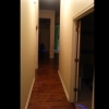キツネザルが廊下を進んでいく様子が３秒でわかる動画！