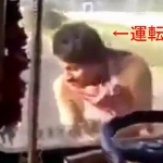 トラック運転手の大道芸！日本でコレしちゃダメ！ってか海外でもダメだろうって面白動画！
