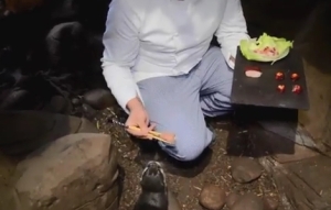 カワウソの御飯がボクの晩御飯より豪勢な件について