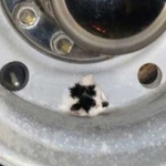 タイヤのホイールから子猫の頭が！抜けなくなったニャンコを無事救出！（画像）
