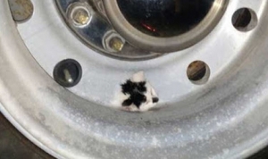 タイヤのホイールから子猫の頭が！抜けなくなったニャンコを無事救出！（画像）