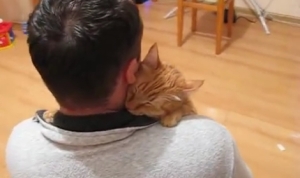 ご主人様が大好きな猫！抱っこされて甘えるニャンコ！