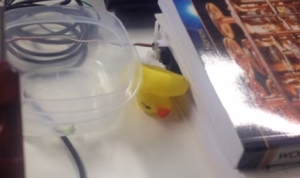 ワイヤレスでアヒル村長を鳴かせる！エンジニアが製作したハイテク機器がくだらなくて面白い！