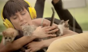 猫セラピー！無料でリラックスできるガラス部屋が楽園だった！