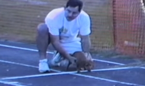 レースに勝つためなら何でもするですっ！・・・という犬