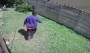 世界一可愛・・・凶暴な犬に追われた泥棒が、塀を乗り越えて命からがら脱出する！