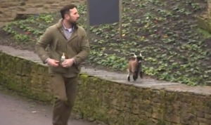 可愛いミニヤギのピグミーゴート！どこに行くにも御主人様と一緒！