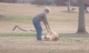公園から帰りたくない犬