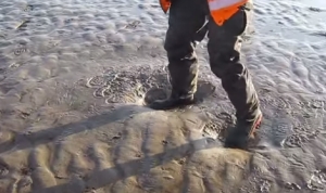 流砂の上を歩くレスキュー隊員！沈まずにふわふわ跳ねてるみたい！