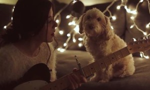 カナダのミュージシャン、ダニエルアンドラーデ(Daniela Andrade)が愛犬に歌う! カナダのミュージシャン、ダニエルアンドラーデ(Daniela Andrade)が愛犬に歌う!