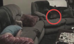 ジャンプして女の子を強襲する子猫! ジャンプして女の子を強襲する子猫!