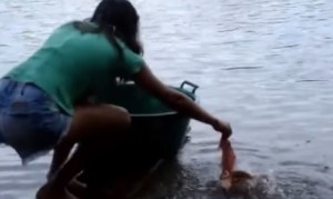 衝撃のピラニア漁!女の子が生肉でピラニアを捕まえていく! 衝撃のピラニア漁!女の子が生肉でピラニアを捕まえていく!