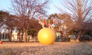 玉乗りする犬が凄い!スーパービーグル プリンちゃんがバランスボールに乗って進む! 玉乗りする犬が凄い!スーパービーグル プリンちゃんがバランスボールに乗って進む!