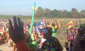 給水所でワインを飲みながらのフルマラソン!メドックマラソン2015年9月開催! 給水所でワインを飲みながらのフルマラソン!メドックマラソン2015年9月開催!