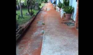 道路が赤いカニでびっしり!クリスマス島で毎年発生するカニさん大移動! 道路が赤いカニでびっしり!クリスマス島で毎年発生するカニさん大移動!