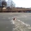 凍った川に落ちた犬を救助！犬を救うべく氷を割りながら泳いでいく男！