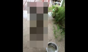 犬「私の御飯が無いように見受けられるが?」 犬「私の御飯が無いように見受けられるが?」