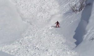 雪崩ウサギあらわる！