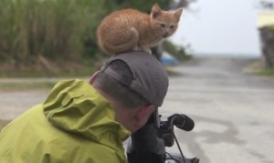 動物写真家、岩合光昭さんの頭に乗る猫！