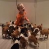 バセンジー犬の子犬１６匹との生活！