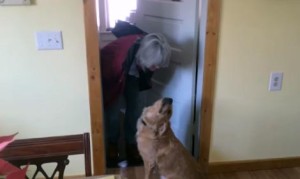 チューを嫌がる犬