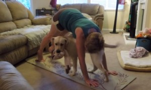 ヨガを邪魔する犬