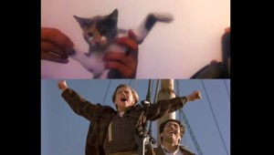 子猫でタイタニック！映画の名シーンをネコで再現！