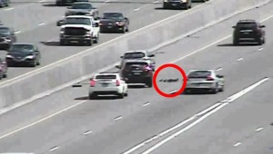 ヒヤヒヤするぜ！高速道路を渡るアヒルの親子！