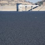 貯水池に9600万個の黒いシェードボール！驚くべき節水アイディア！