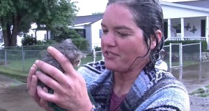 僕でも救えただろうか？排水溝に落ちた子猫を救助する女性！