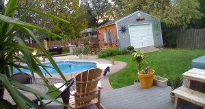 猫をプールに叩き落す猫