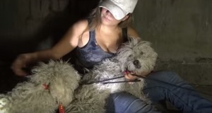 感動の犬レスキュー！下水道で生きる２匹の犬を保護！