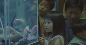 シャケの切り身ロボットが泳ぐ水槽！子供達の反応は！？