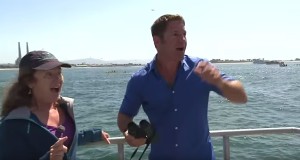 生放送中にシロナガスクジラが現れて大興奮の司会者！