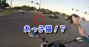 子猫が交差点に瞬間移動？ひかれそうな子猫を女性バイク乗りが救出！