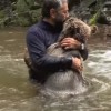 川で小熊を抱きしめてキスをする男