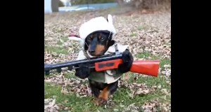 猟犬がハンターに！二本足で歩いているように見える服！