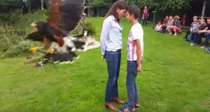 二人の間をスリ抜ける鷹のショー！