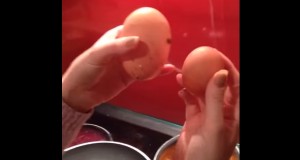 卵の中から卵！卵を割ったら卵が出てきた！？