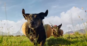 ホットドッグの犬！ダジャレを全力で映像化したハインツの新ＣＭ！