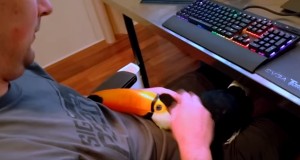 懐きすぎているオオハシという鳥！中身が犬なのではと疑われる！