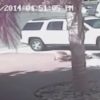 ヒーロー猫！子供を襲う犬を体当たりで撃退した勇気ある猫！