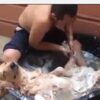 ここは犬のスパ？気持ちよく洗われ続ける犬がリラックスしすぎてて殆どオッサン！